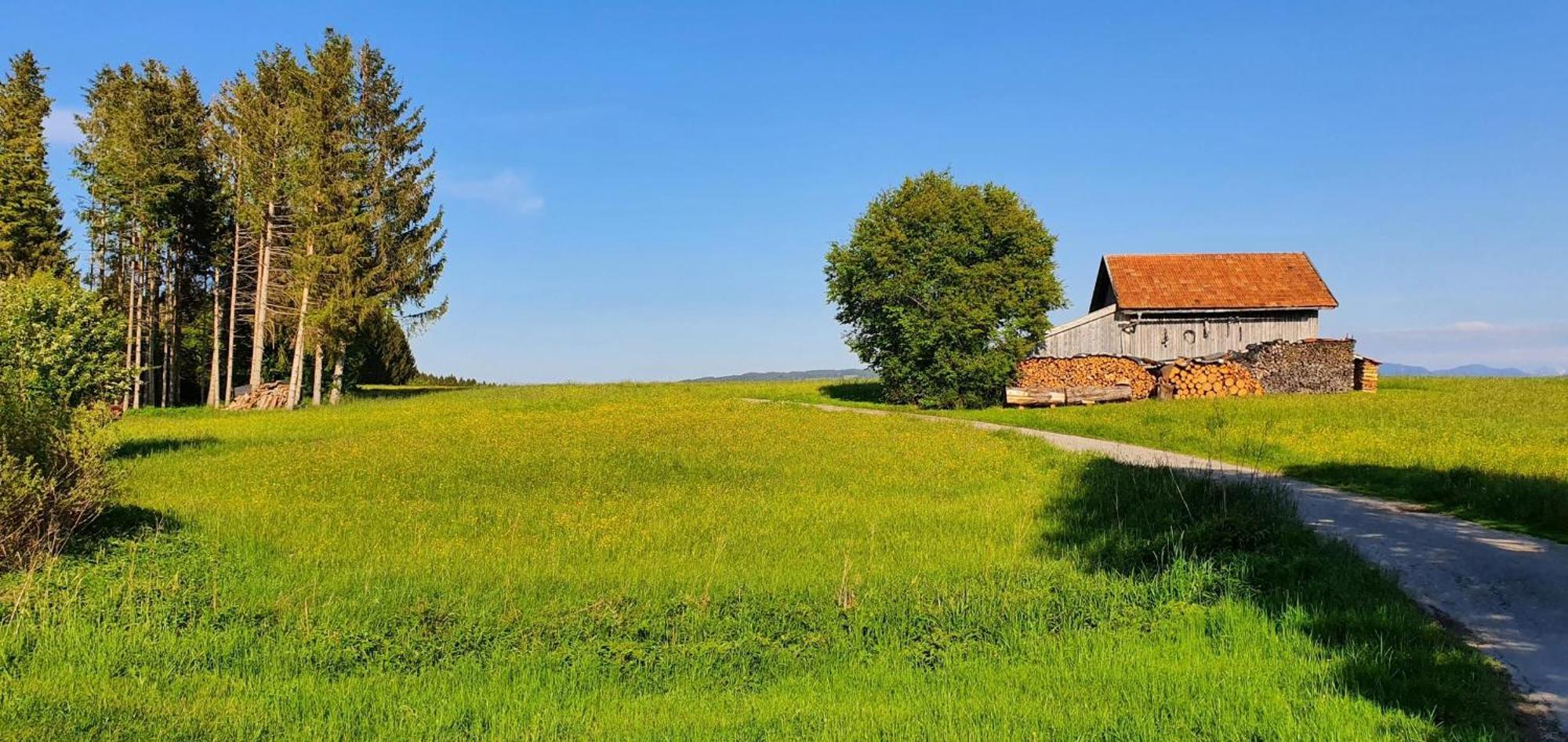 Lechbruck Am See Feriendorf Hochbergle Haus 140 ภายนอก รูปภาพ